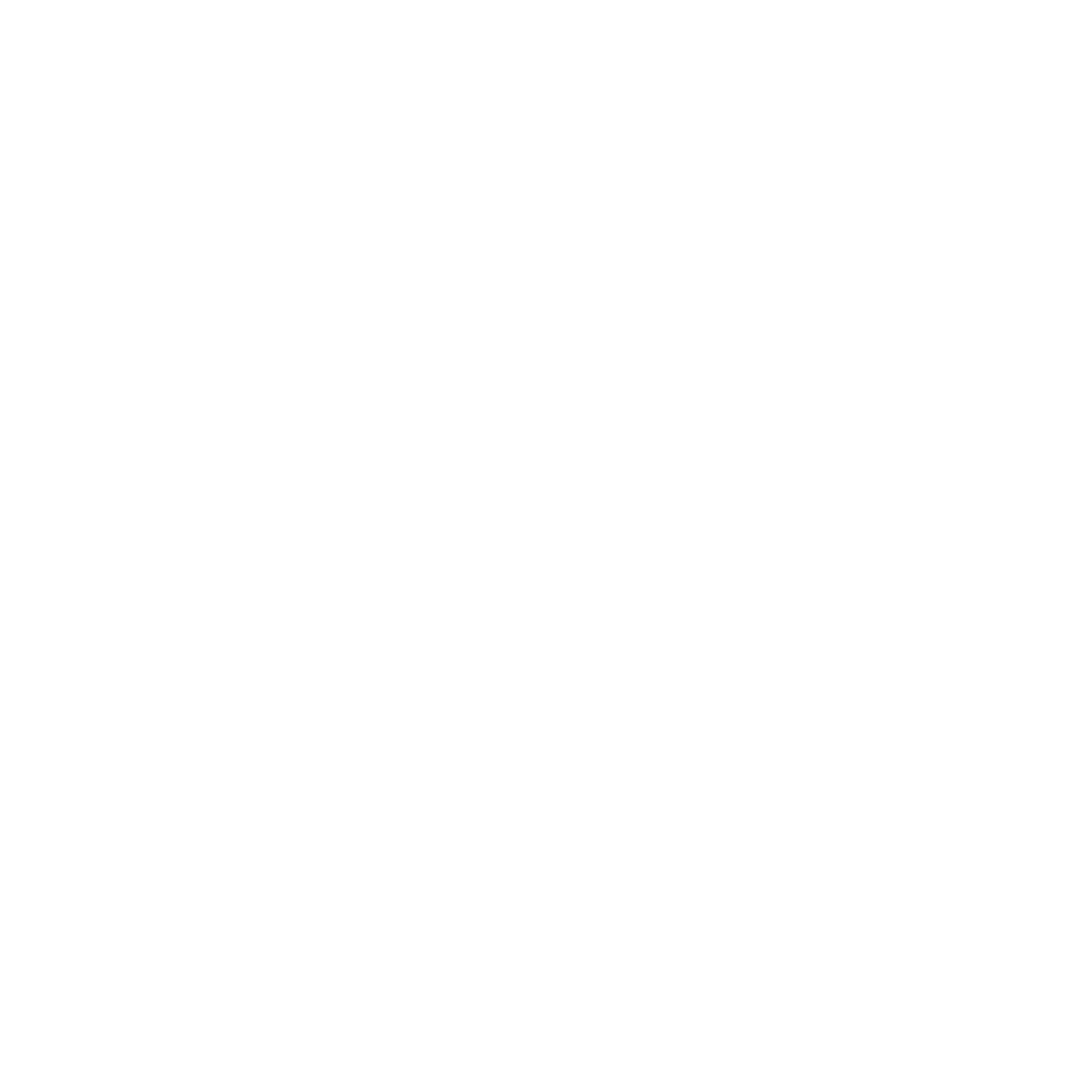 Liz Soares